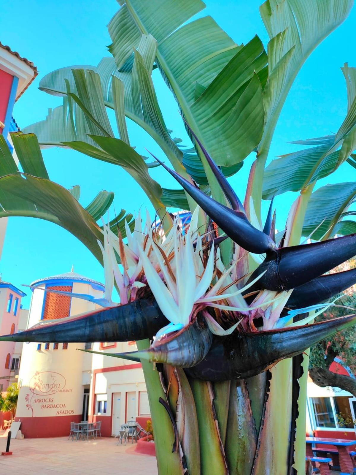 דירות טורבייחה Casa De Buenos Dias מראה חיצוני תמונה